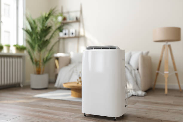 Best Air Conditioning Cleaning in Stanton, MI